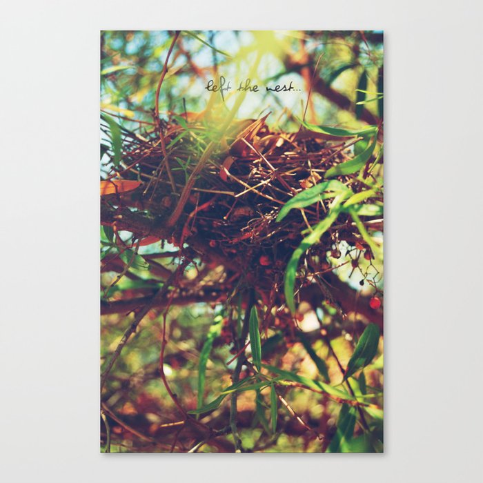Nest Canvas Print