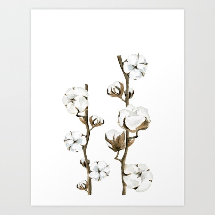 Discover the motif COTTON BRANCHES. by Art by ASolo as a print at TOPPOSTER