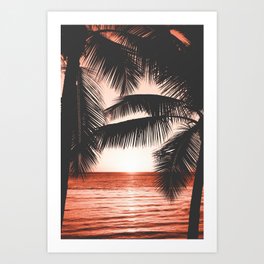 Hawaii Sunset Art Print