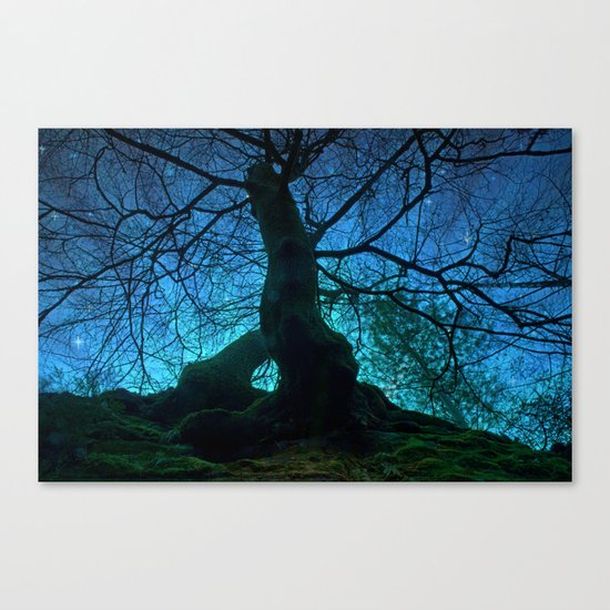 Tree under a spangled sky (light) Canvas Print
