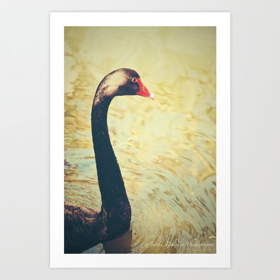 Black Swan Art Print