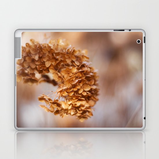 Winter Hydrangea Laptop & iPad Skin