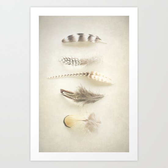 Feather Art Print