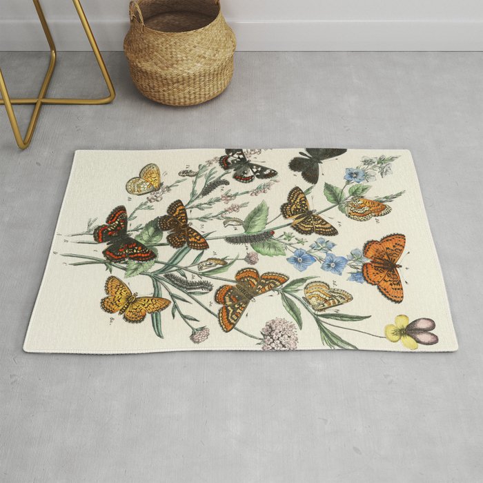 Vintage Butterfly and Moths Illustration by William Forsell Kirby 1883 Rug
