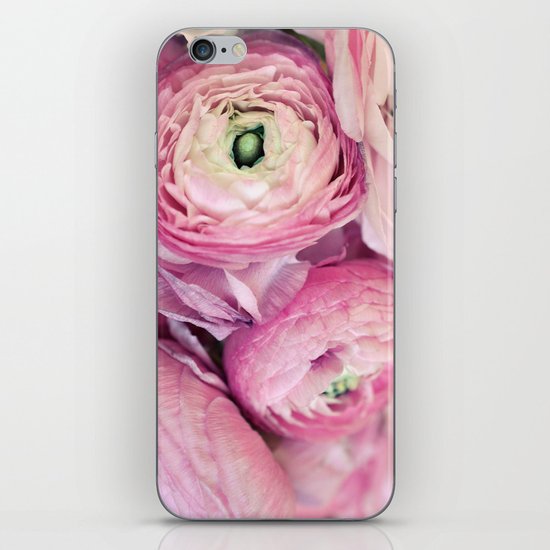 Pink Ranunculus iPhone & iPod Skin