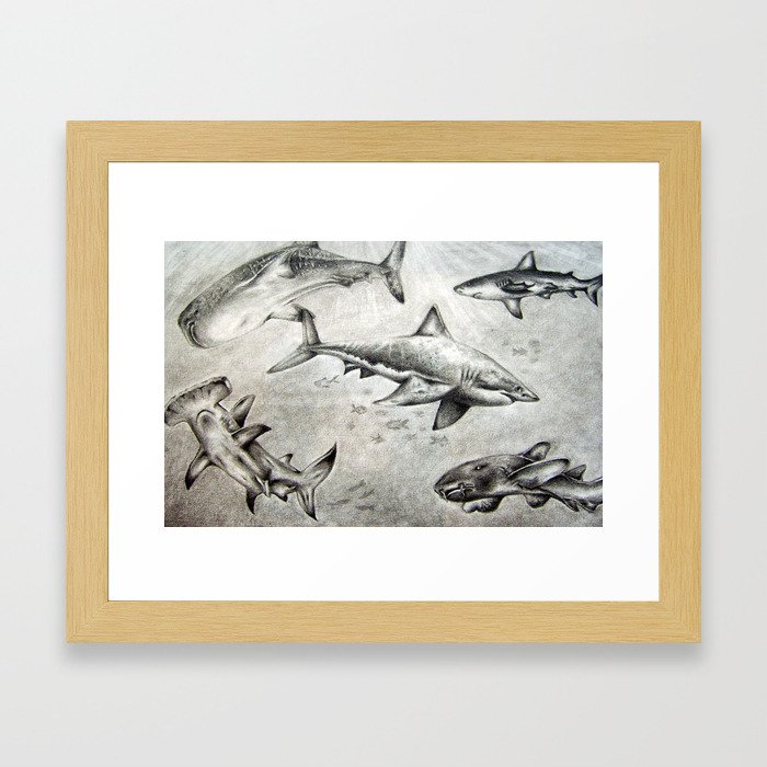 shark world Framed Art Print