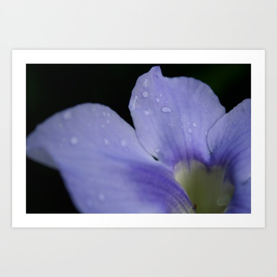 Catching raindrops Art Print