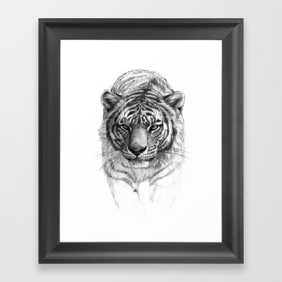 Tiger SK0102 Framed Art Print