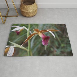 Wild Tropical Orchid Rug