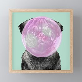 Bubble Gum Popped on Black Pug (2 in series of 3) Framed Mini Art Print