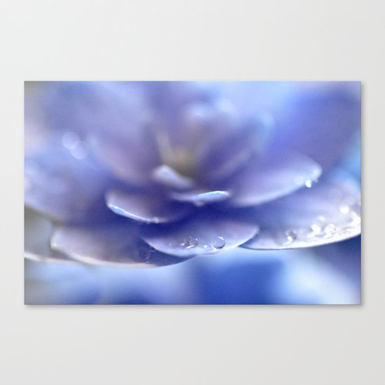 Enchantress... Canvas Print