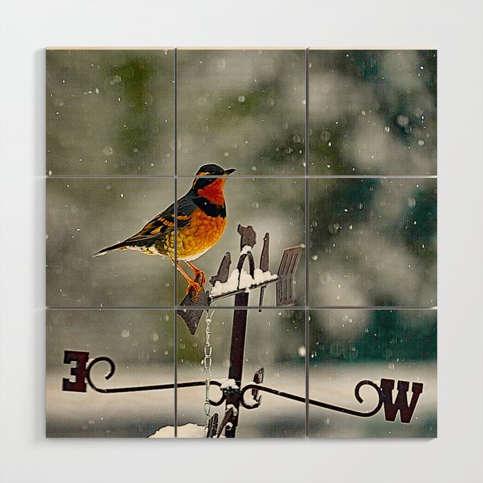 Varied Thrush into the Storm Wood Wall Art