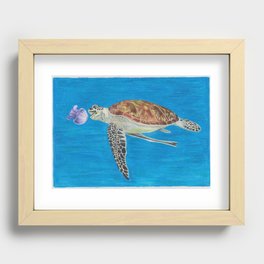 Hungry Green Sea Turtle Recessed Framed Print