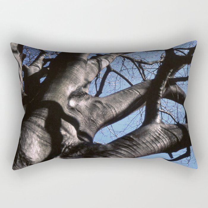 maple tree in winter Rectangular Pillow
