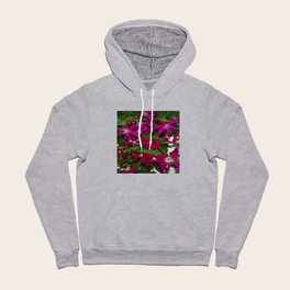 Clematis viticella Mme Julia Correvon Hoody