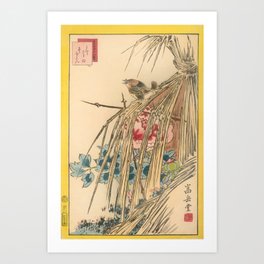 Sugakudo (fl. 1850 - 1861) Winter Wren and Winter Peony (No.42) Art Print