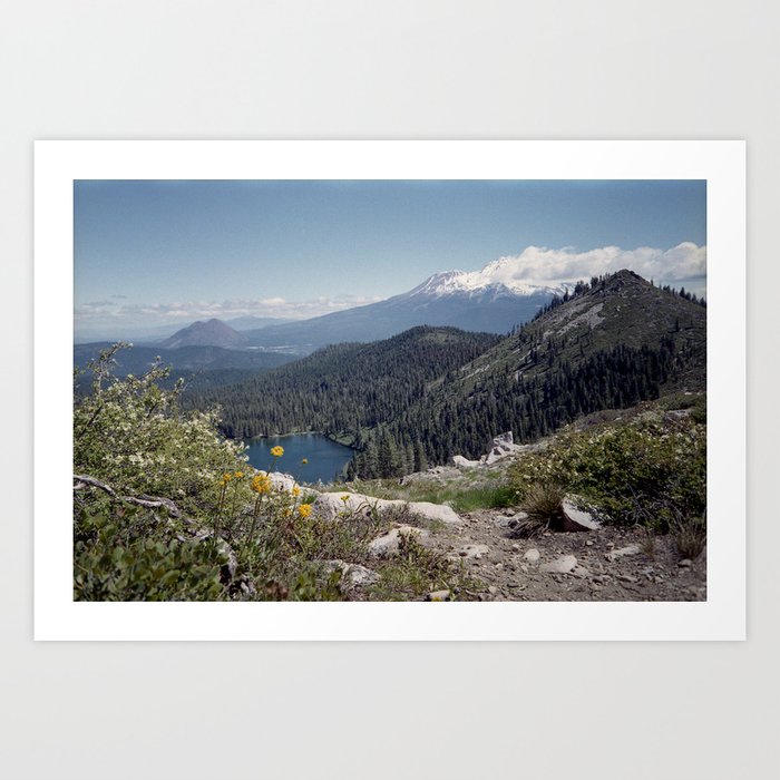 Art Print