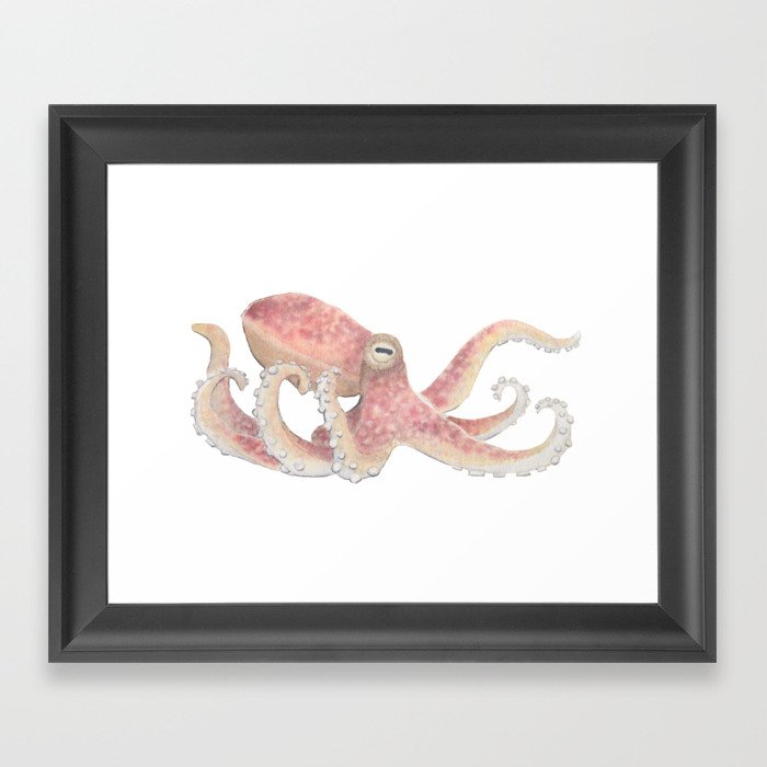 Octopus Framed Art Print
