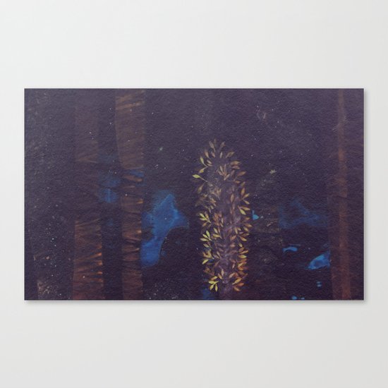 magic forest Canvas Print