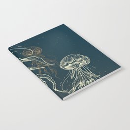 Jellyfish abduction Notebook