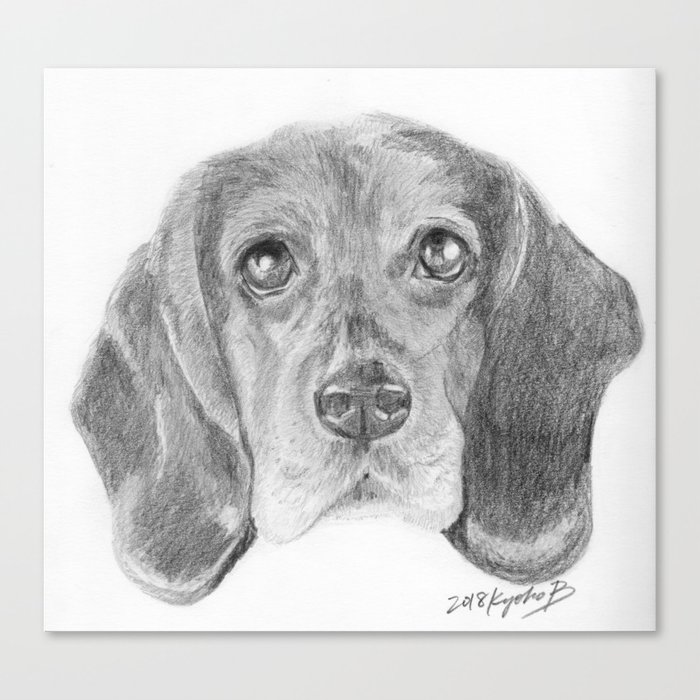 Beagle Dog Face Realistic Pencil Sketch Drawing Canvas Print By Kyokobartley Society6 This tutorial is perfect for all art enthusiasts. beagle dog face realistic pencil sketch drawing canvas print by kyokobartley