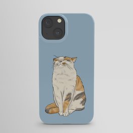 Cute calico cat illustration iPhone Case