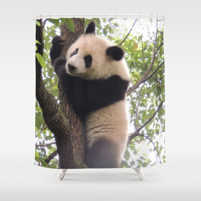 Chongqing Baby Giant Panda Bebe Panda Geant Shower Curtain By Sylviecharbonneau Society6 Chongqing Baby Giant Panda Bebe Panda Geant Shower Curtain By Sylviecharbonneau Society6
