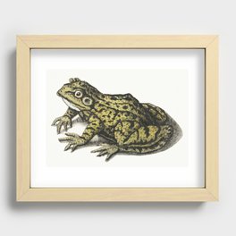 Frog Recessed Framed Print