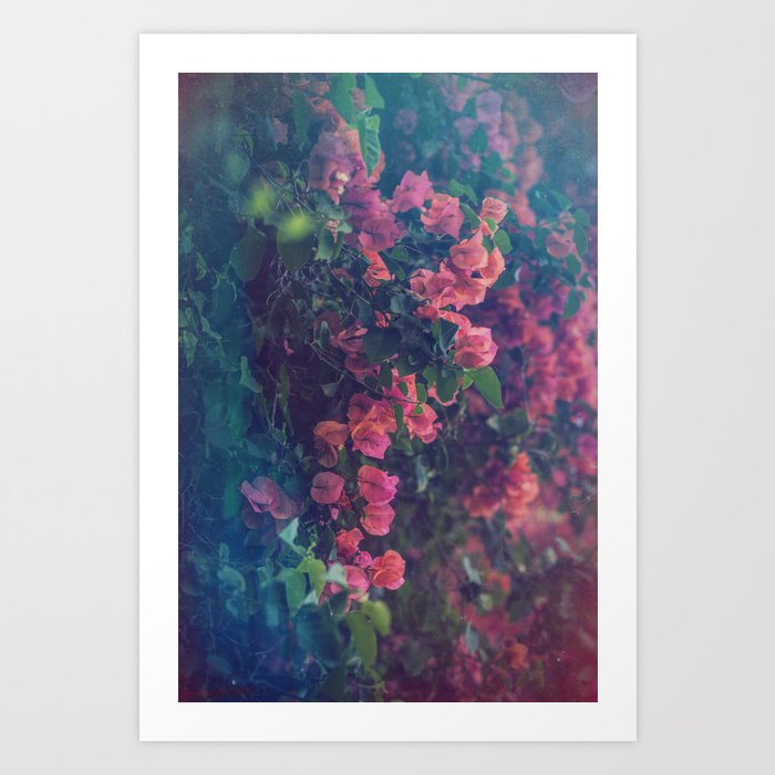 Flower Falls. Art Print