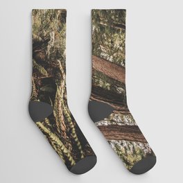 Forest Adventure - Redwood National Park Hiking Socks
