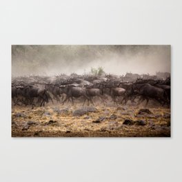 Wildebeest Herd Canvas Print