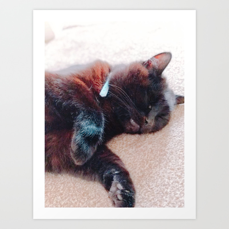 The Cutest Cat In The World Art Print By Mapleleaf24 Society6