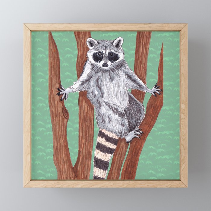 Yo ! Raccoon on the Tree Drawings Edition 1 Framed Mini Art Print