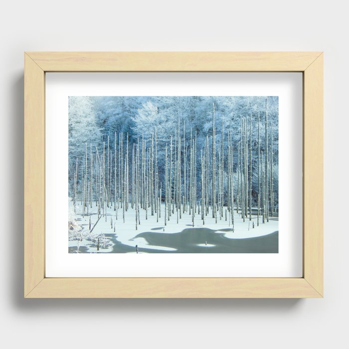 Frozen Pond Recessed Framed Print