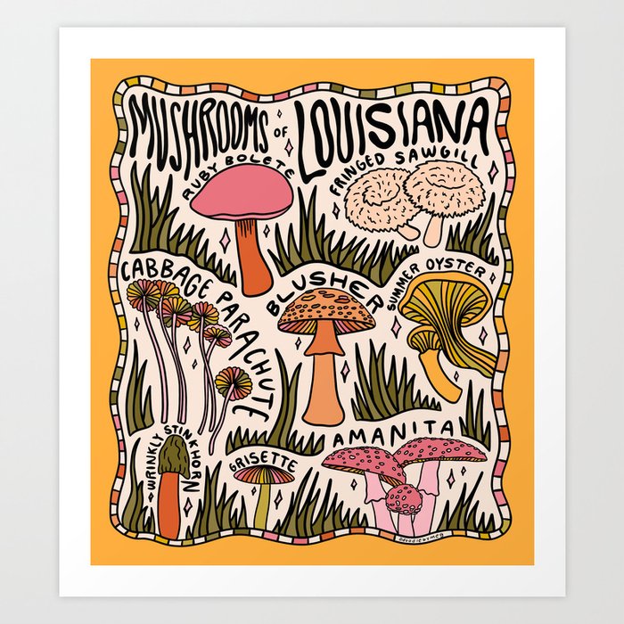 Mushrooms of Louisiana Art Print