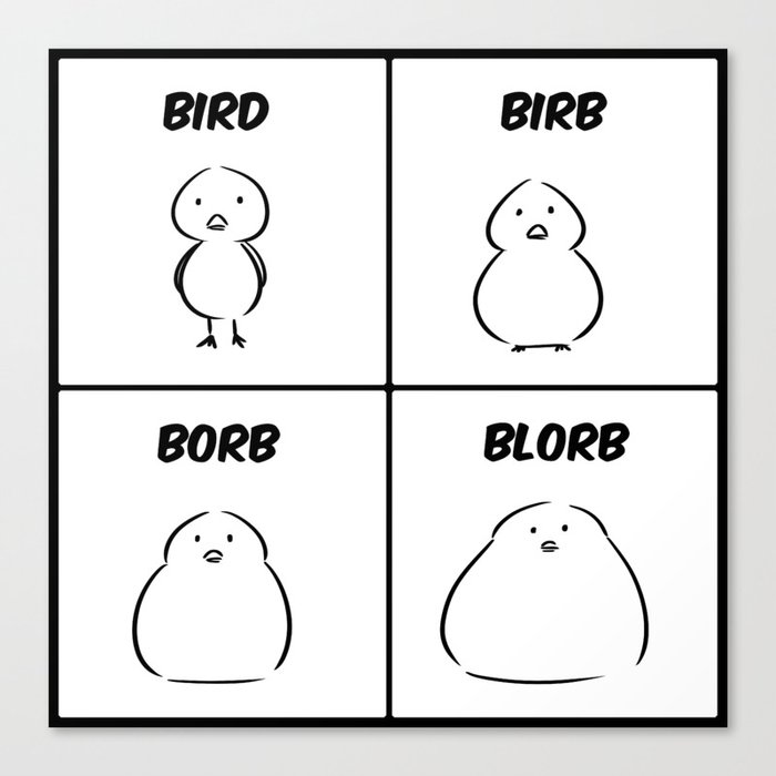 Bird Birb Borb Blorb Canvas Print