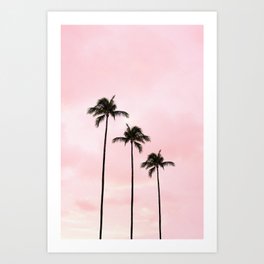 Palm Tree Photography Peach | Blush Pink | Millennial Pink | Miami Art Print