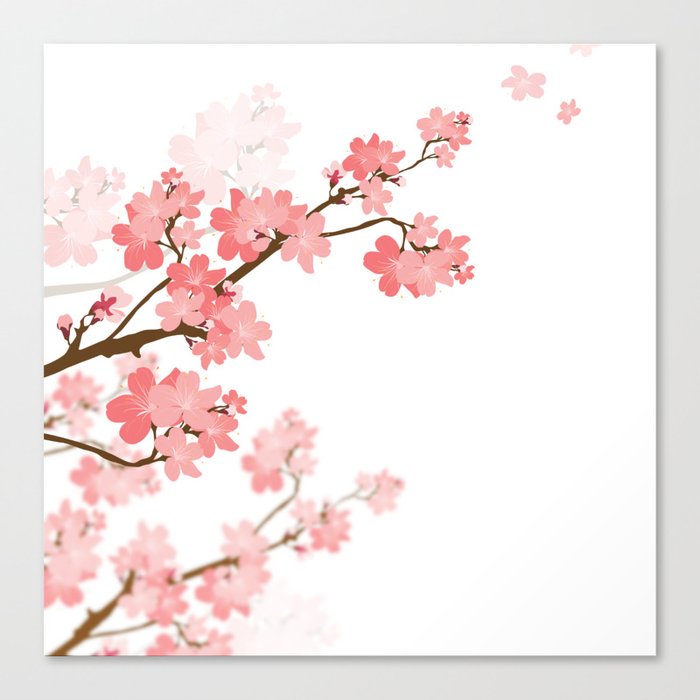 Cherry Blossom Canvas Print By Naturez Society6