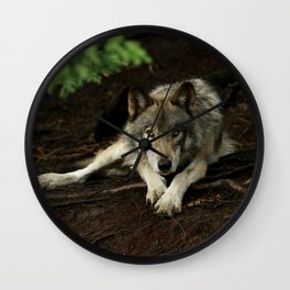 Intense Timber Wolf Wall Clock