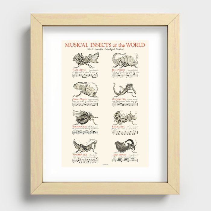 MUSICAL INSECTS OF THE WORLD Recessed Framed Print