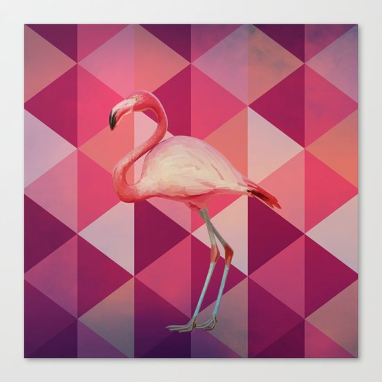 Phoenicopterus Ruber Canvas Print