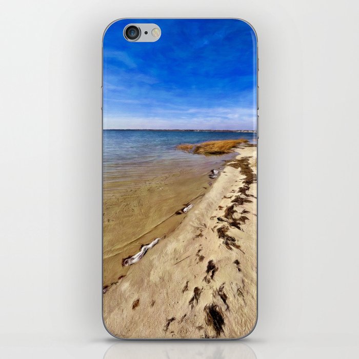 Painted Sands and Skies of Blue iPhone Skin