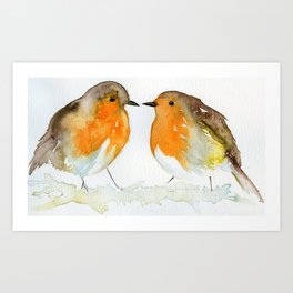 Robin Love Birds Art Print