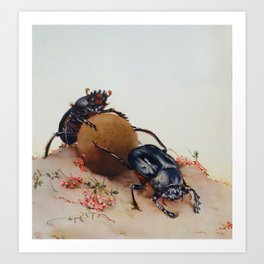 Dung beetles vintage art Art Print