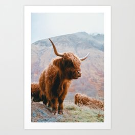 Highlander - I Art Print