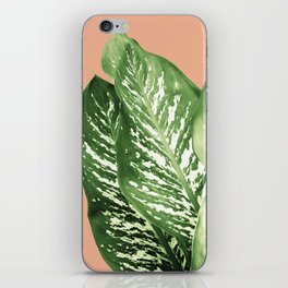 Dieffenbachia - Exotic Leaves #1 #tropical #wall #art #society6 iPhone Skin