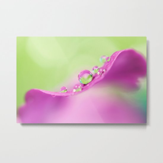 Honesty Droplets Metal Print