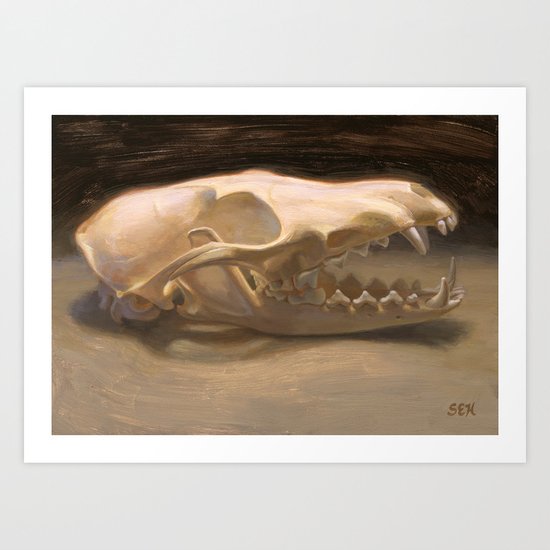 Vulpes vulpes Art Print