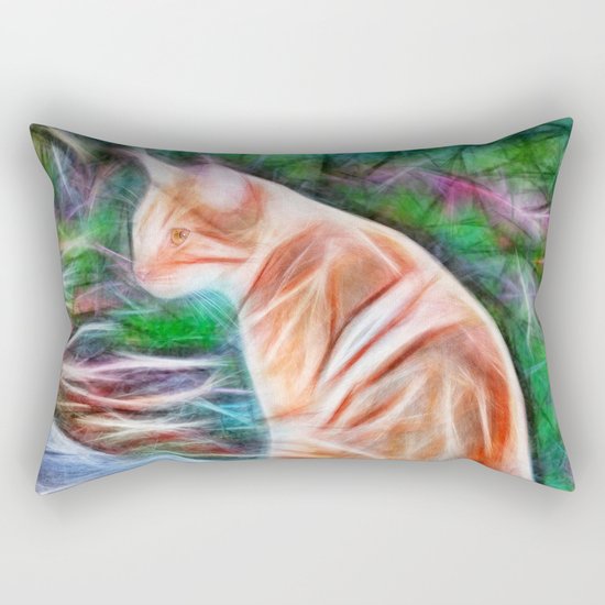 Orange cat sitting on a path in rural Queensland, Australia Rectangular Pillow