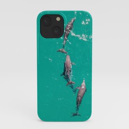 Isla Mujeres, Delfines III Mar Caribe iPhone Case